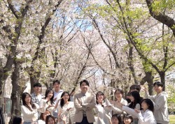 2026 벚꽃 단체 사진